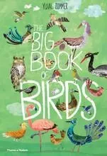 The Big Book of Birds /anglais -  ZOMMER YUVAL - THAMES HUDSON