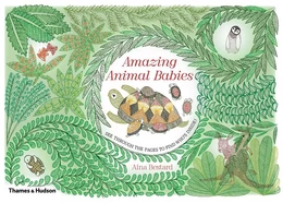 Amazing Animal Babies: Lift the Layers and see the Secrets Inside! /anglais