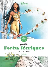 Les grands blocs Disney Forêts féeriques