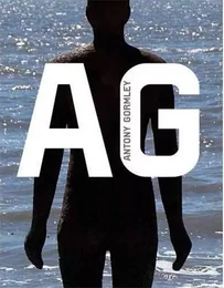 Antony Gormley (Modern Artists Series) /anglais