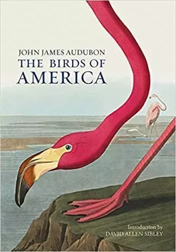 John James Audubon The Birds of America /anglais -  AUDUBON/SIBLEY - QUARRY