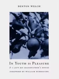 Denton Welch In Youth Is Pleasure /anglais