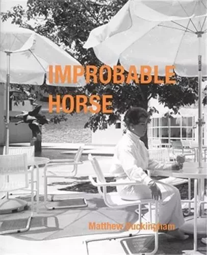 Matthew Buckingham: Improbable Horse /anglais -  BUCKINGHAM MATTHEW - DAP ARTBOOK