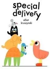 Special Delivery /anglais -  KRUSZYNSKI ELLIOT - CICADA