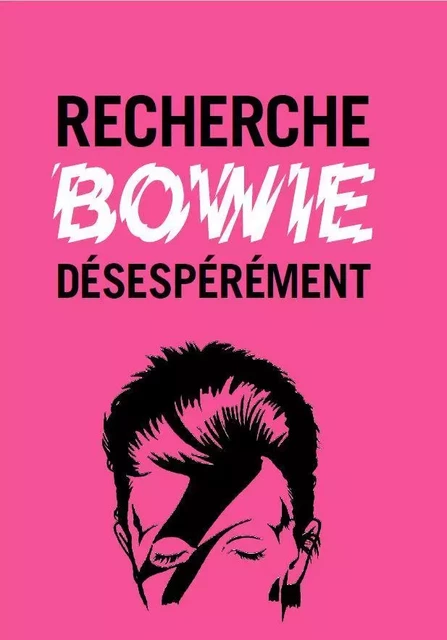 Recherche Bowie dEsespErEment /franCais -  - GRAFFITO