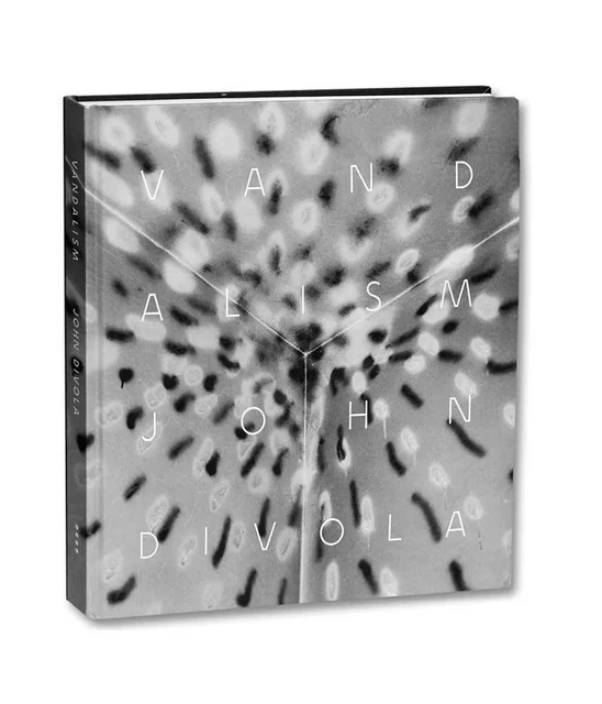 Vandalism -  John Divola - MACK BOOKS