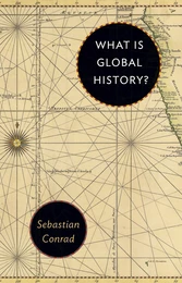 WHAT IS GLOBAL HISTORY