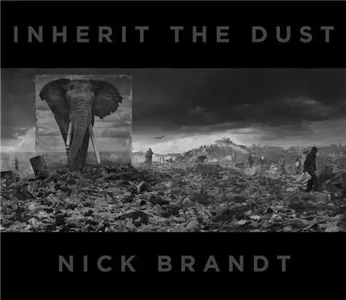 Nick Brandt Inherit the Dust /anglais -  BRANDT NICK - THAMES HUDSON