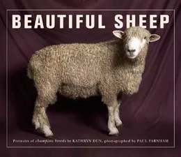 Beautiful Sheep /anglais