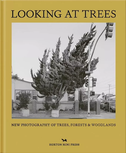 LOOKING AT TREES -  HOXTON MINI PRESS - HOXTON PRESS