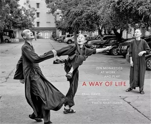 Paul Davis A Way of Life /anglais -  DAVIS PAUL - RANDOM HOUSE US