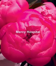 Ida Applebroog: Mercy Hospital /anglais