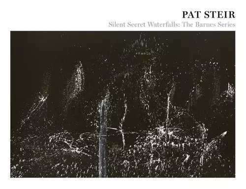 Pat Steir : Silent Secret Waterfalls /anglais -  STEIR PAT - LEVY GORVY