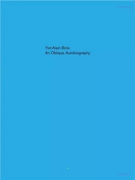 Yve-Alain Bois An Oblique Autobiography /anglais