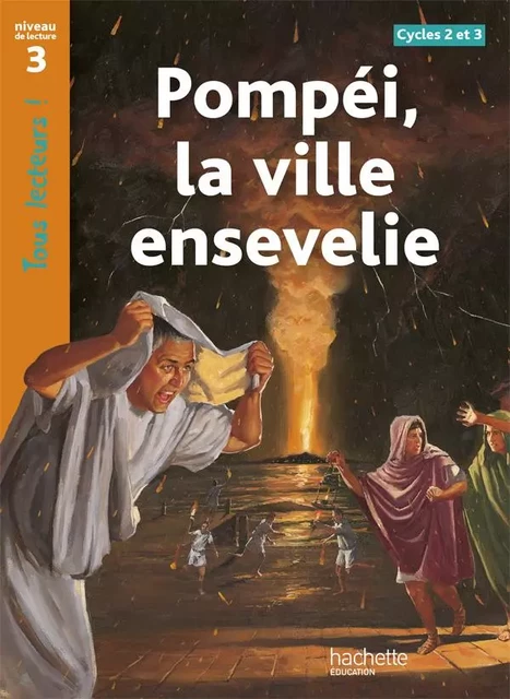 Pompéi, la ville ensevelie Niveau 3 - Tous lecteurs ! - Ed.2010 - Sally Odgers - HACHETTE EDUC