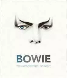 Bowie The Illustrated Story /anglais