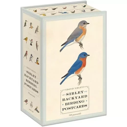 Sibley Backyard Birding Postcards: 100 Postcards /anglais