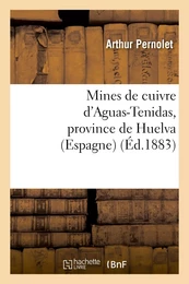 Mines de cuivre d'Aguas-Tenidas, province de Huelva (Espagne) : rapport adressé