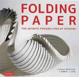 Folding Paper The Infinite Possibilities of Origami /anglais