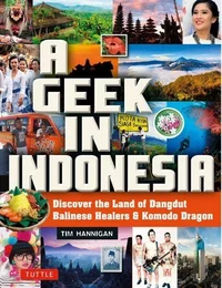 A Geek in Indonesia /anglais