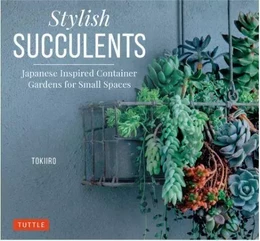 Stylish Succulents /anglais