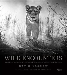 Wild Encounters /anglais