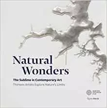 Natural Wonders The Sublime in Contemporary Art /anglais -  - RIZZOLI