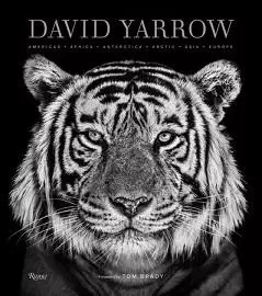 David Yarrow Photography /anglais -  YARROW DAVID - RIZZOLI