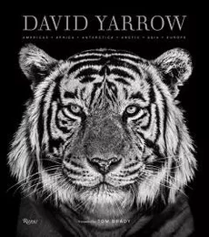 David Yarrow Photography /anglais