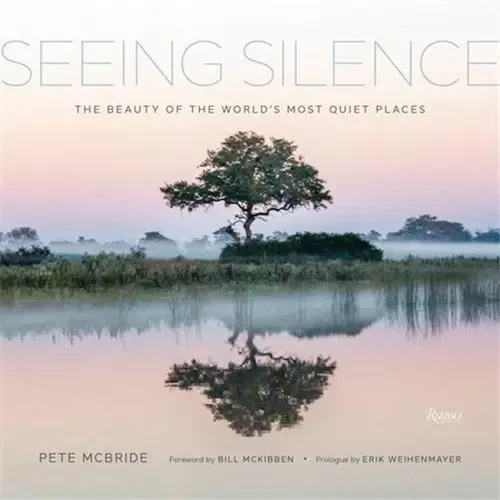 Seeing Silence /anglais -  MCBRIDE PETE/MCKIBBE - RIZZOLI