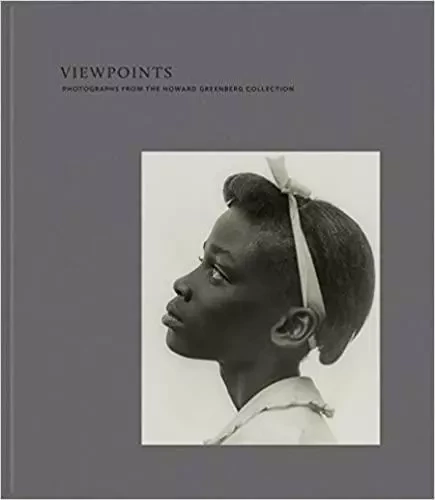 Viewpoints Photographs from the Howard Greenberg Collection /anglais -  GRESH KRISTEN/HAVING - MFA