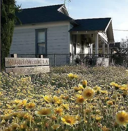 Fritz Haeg: Wildflowering L.A. /anglais