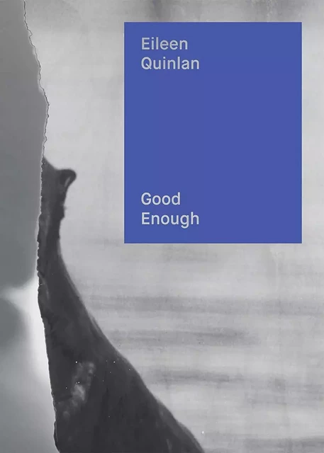 Eileen Quinlan: Good Enough -  QUINLAN EILEEN - DAP ARTBOOK