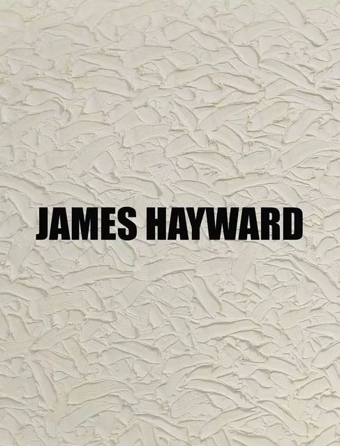 James Hayward /anglais -  HAYWARD JAMES - DAP ARTBOOK