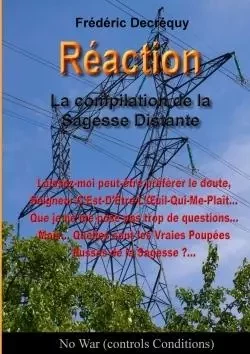 Réaction : La compilation de la Sagesse Distante - Frédéric Decréquy - LULU