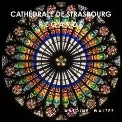 Cathédrale de Strasbourg - REGARDS - Antoine Walter - LULU