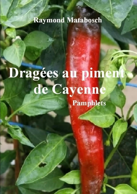 Dragées au Piment de Cayenne - Raymond Matabosch - LULU