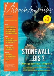 STONEWALL... BIS ? Les oublies du "Mariage pour tous", un an après.... REVUE MIROIR / MIROIRS N°3