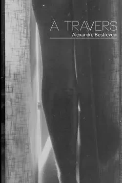 A Travers - Alexandre Bestrevein - LULU