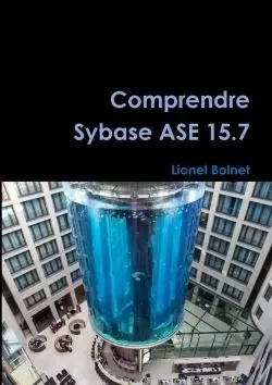 Comprendre Sybase ASE 15.7 - Lionel Bolnet - LULU