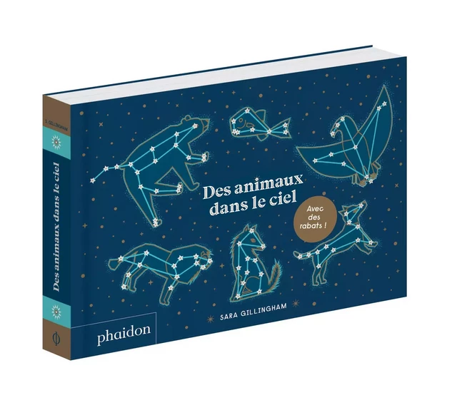 DES ANIMAUX DANS LE CIEL - Sara Gillingham - PHAIDON JEUNESSE