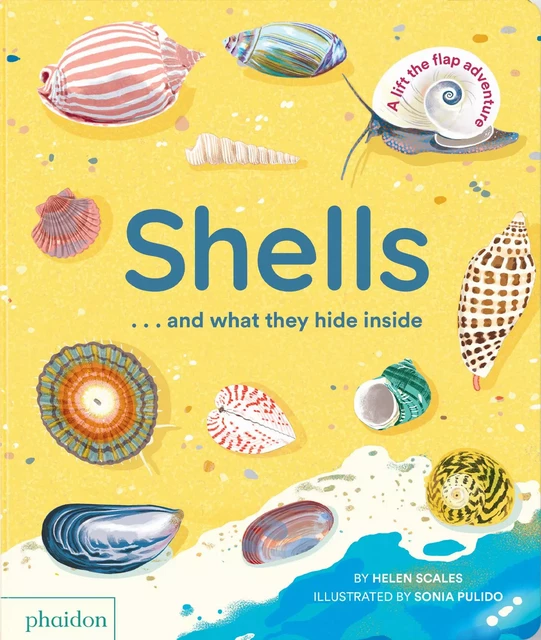 SHELLS... AND WHAT THEY HIDE INSIDE - Helen SCALES - PHAIDON JEUNESSE