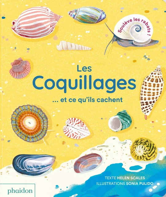 LES COQUILLAGES  ET CE QU'ILS CACHENT - Helen SCALES - PHAIDON JEUNESSE