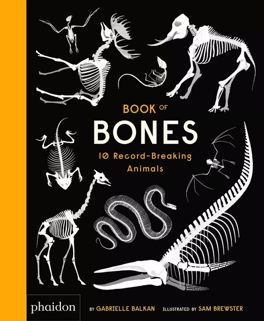 BOOK OF BONES - Gabrielle Balkan - PHAIDON JEUNESSE