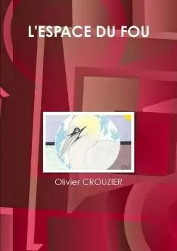 L'espace du fou - Olivier Crouzier - LULU