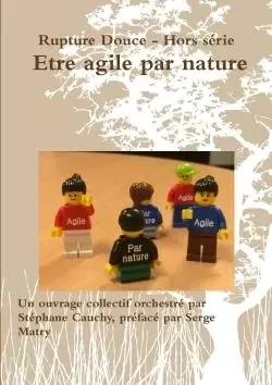 Etre agile par nature - Rupture douce - Hors série - Stéphane Cauchy - LULU