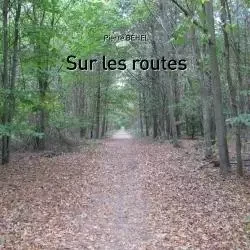 Sur les routes - Pierre Béhel - LULU