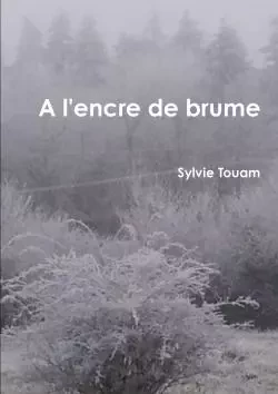 A l'encre de brume... - Sylvie Touam - LULU