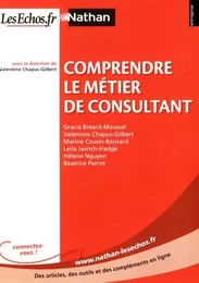 Comprendre le métier de consultant Entreprise Nathan - LesEchos.fr