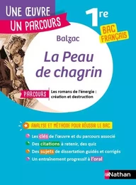 La peau de chagrin - 140